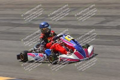 media/Mar-29-2025-Pro Autosports (Sat) [[89b1c017ad]]/6-Purple Group/Session 2 (Bowl)/